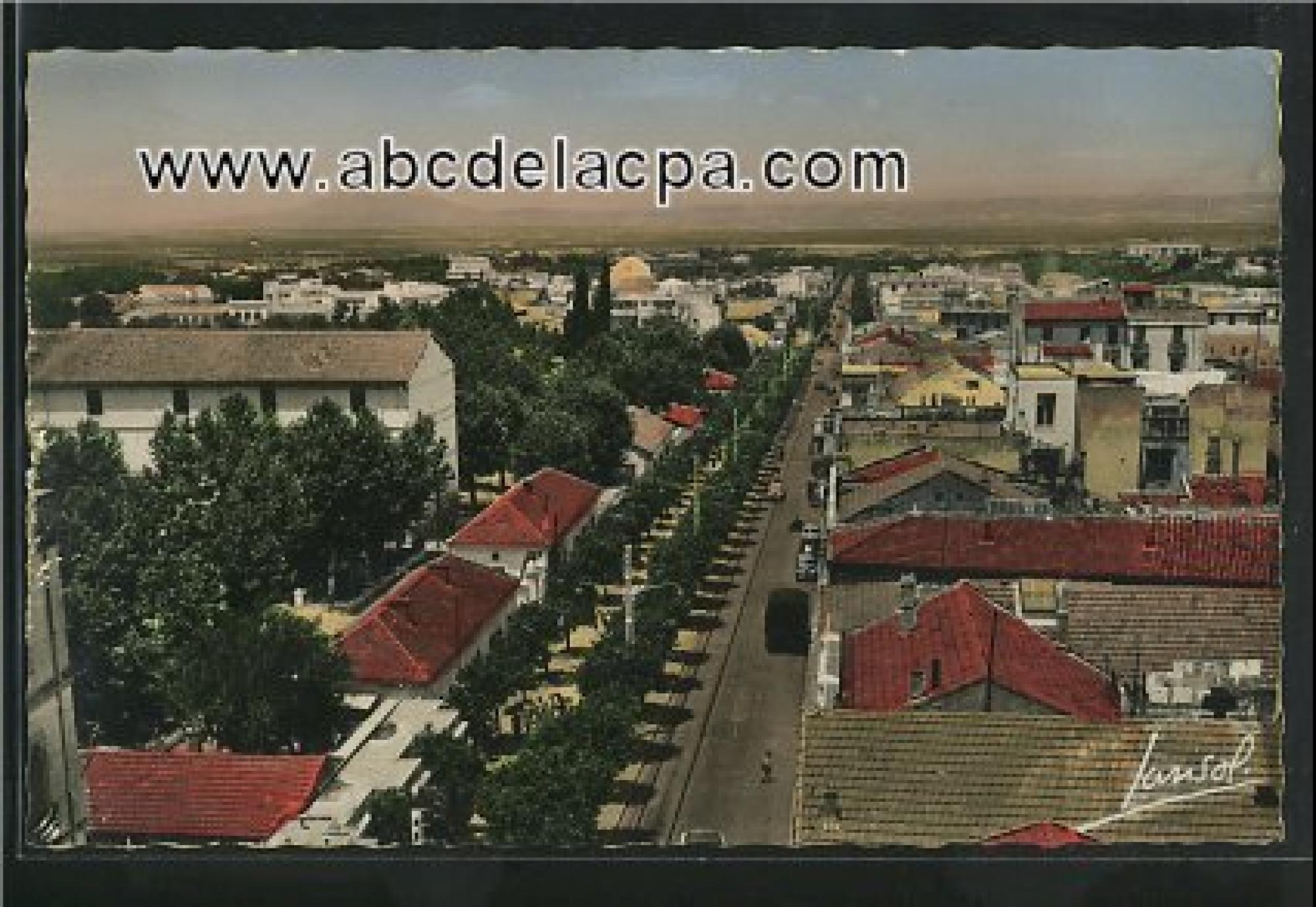 Blida - Vues      générales  - vue générale