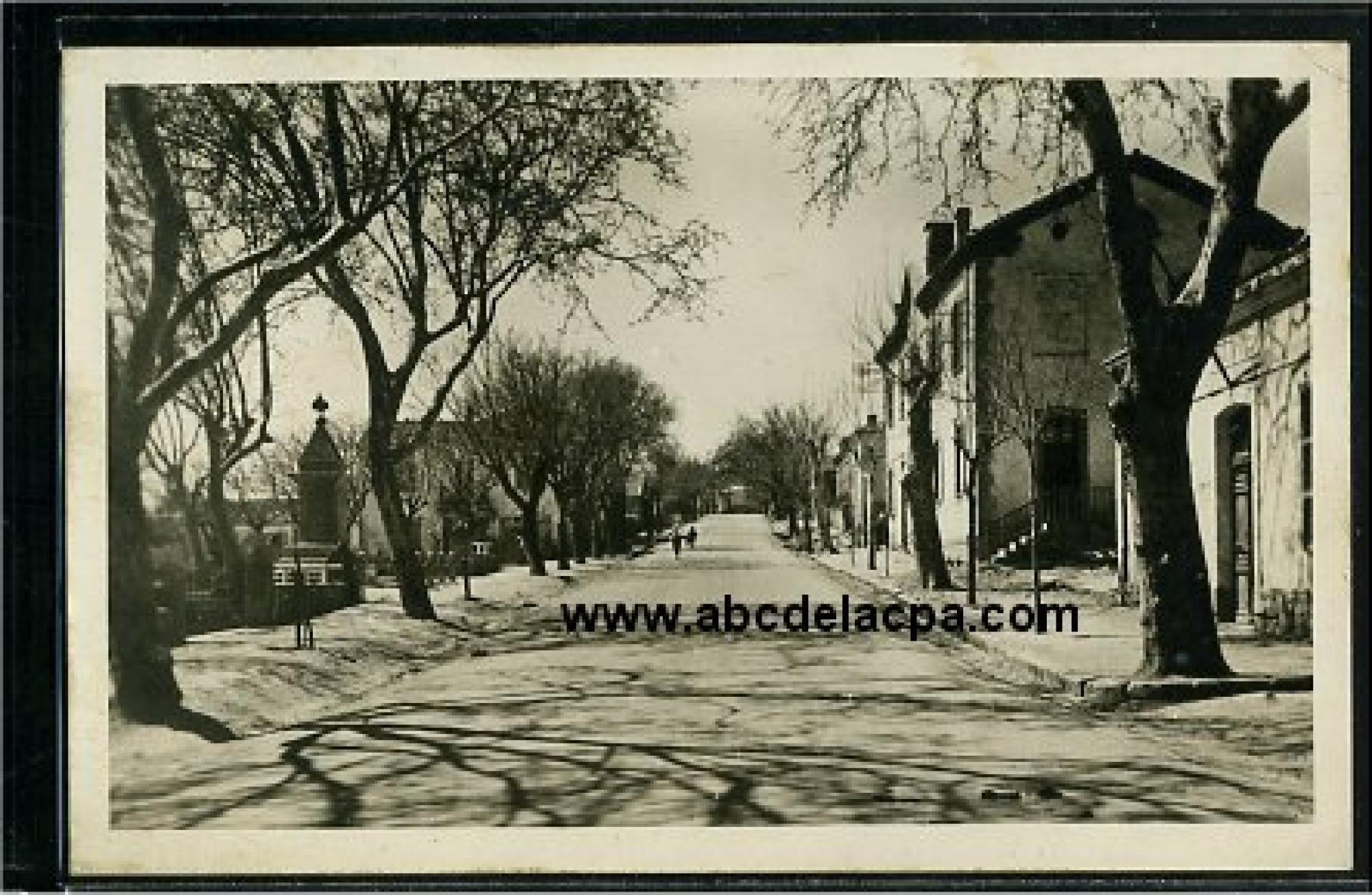 Boghari  - rue principale