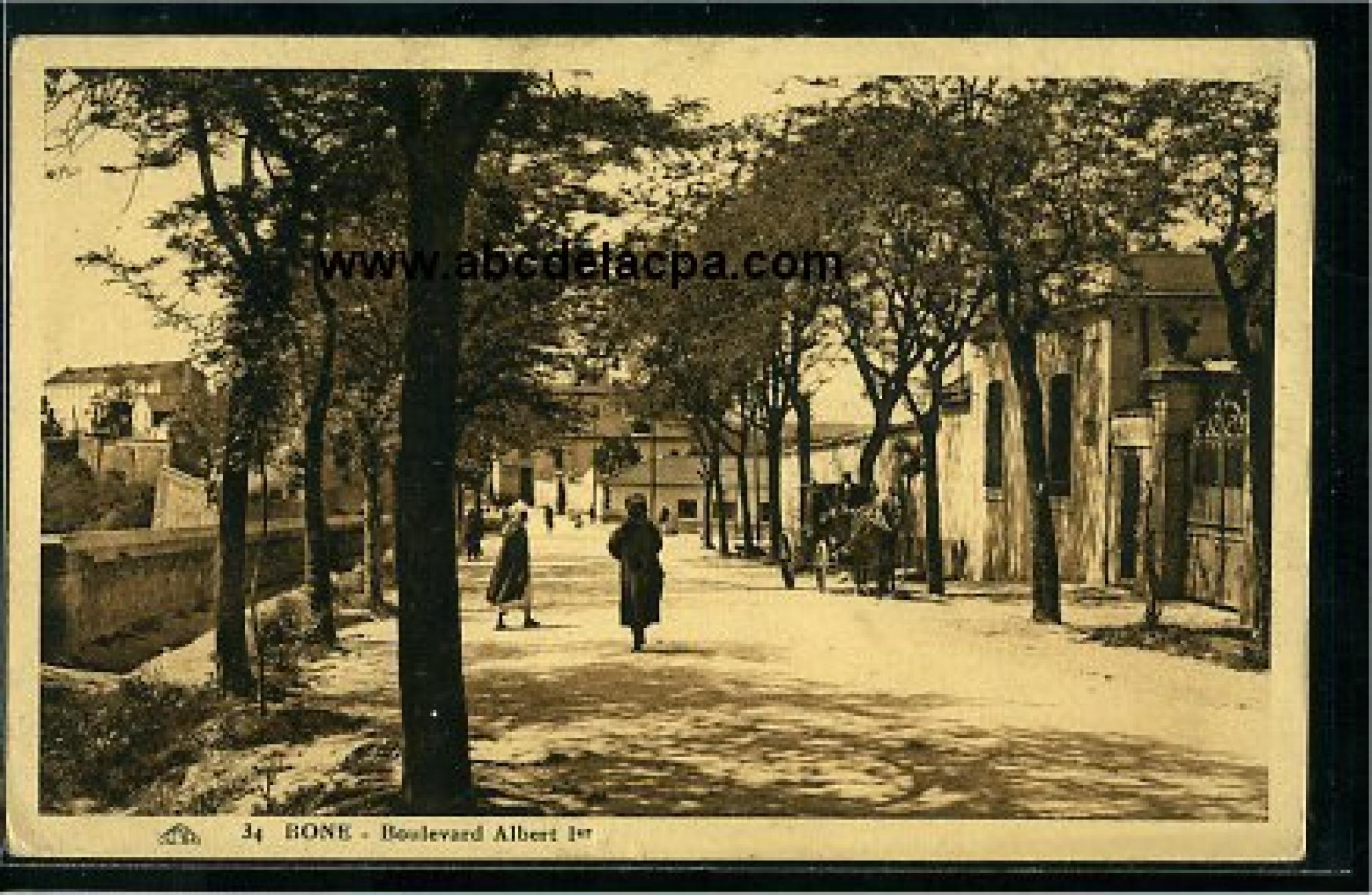 Bône - Rues  - boulevard albert 1er