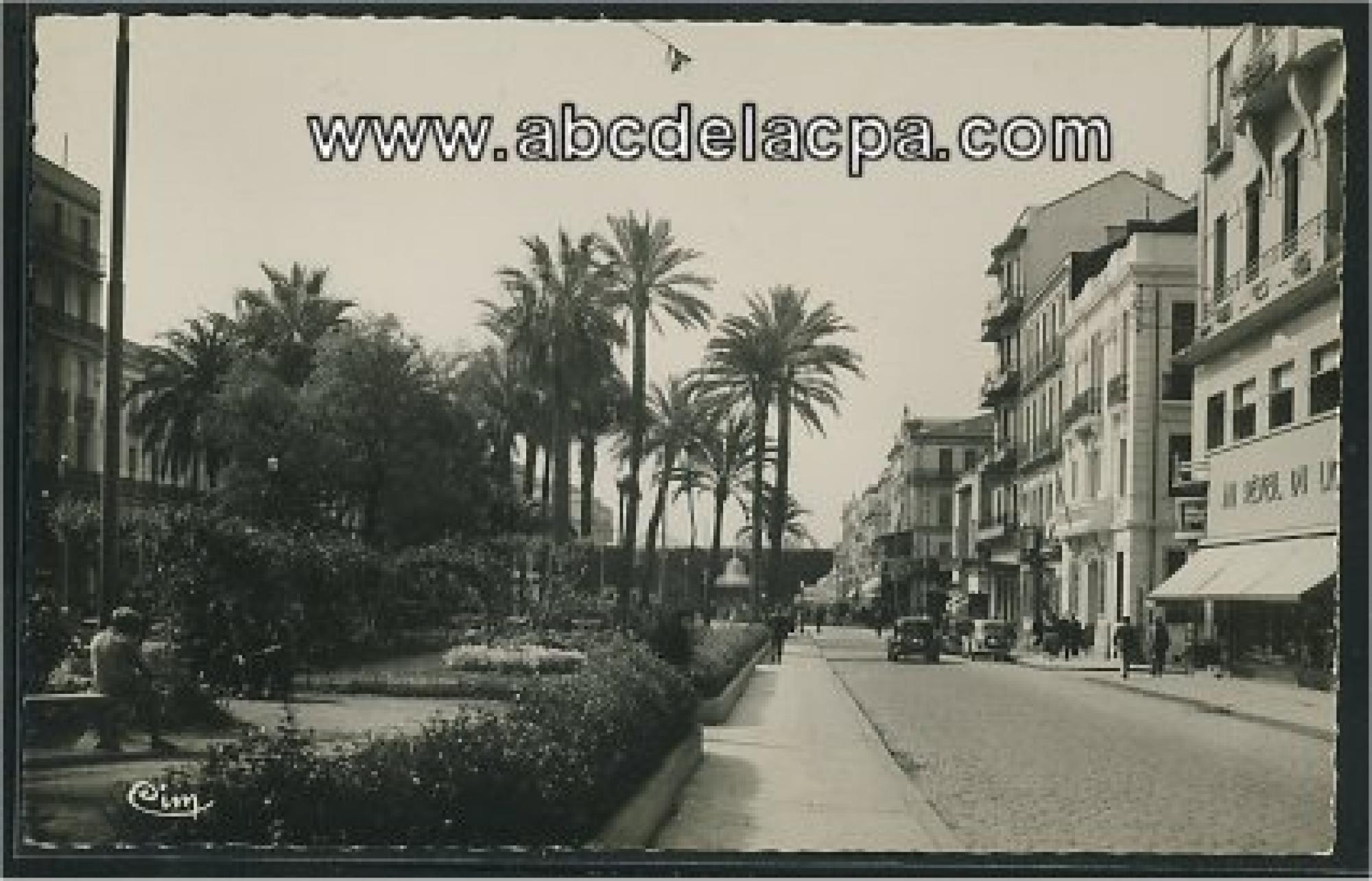 Bône - Rues  - les splendides jardins du cours bertagna