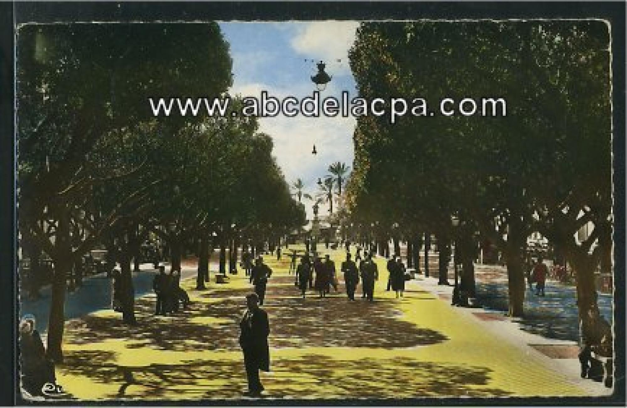 Bône - Rues  - le cours bertagna