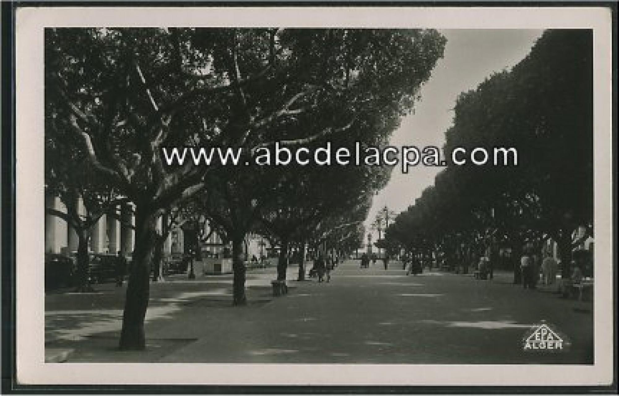 Bône - Rues  - le cours bertagna