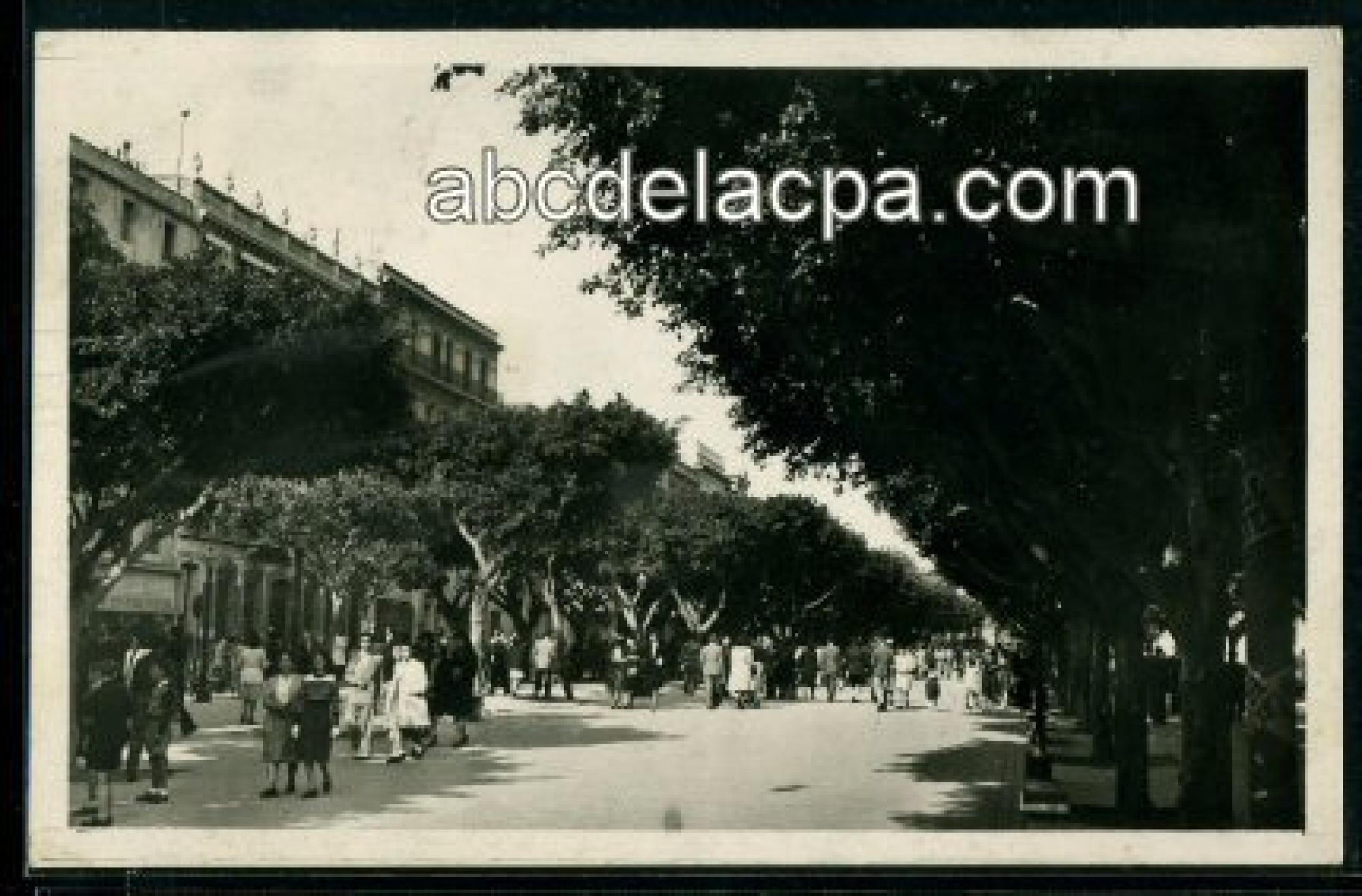 Bône - Rues  - cours bertagna
