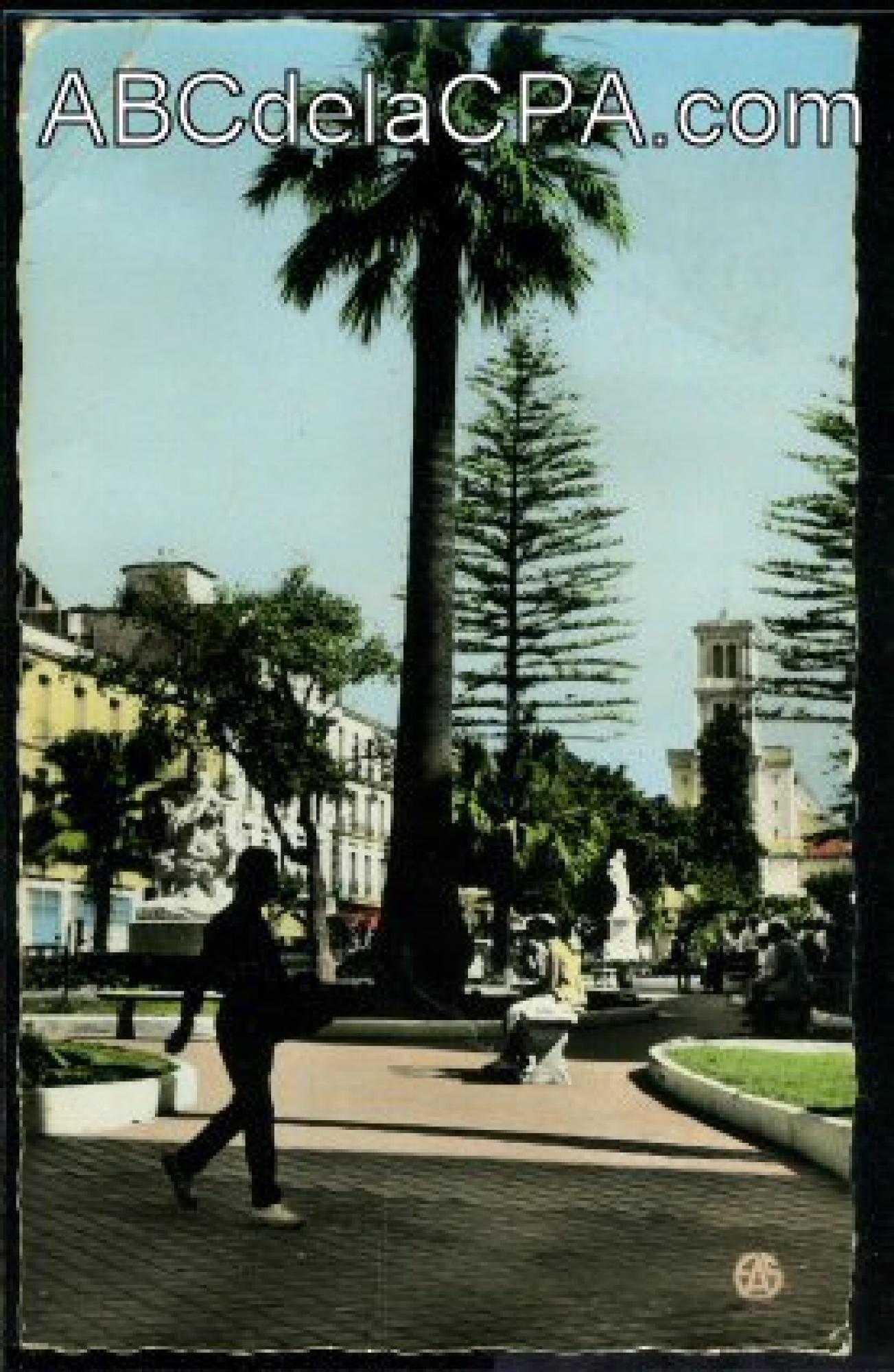 Bône - Rues  - le cours bertagna