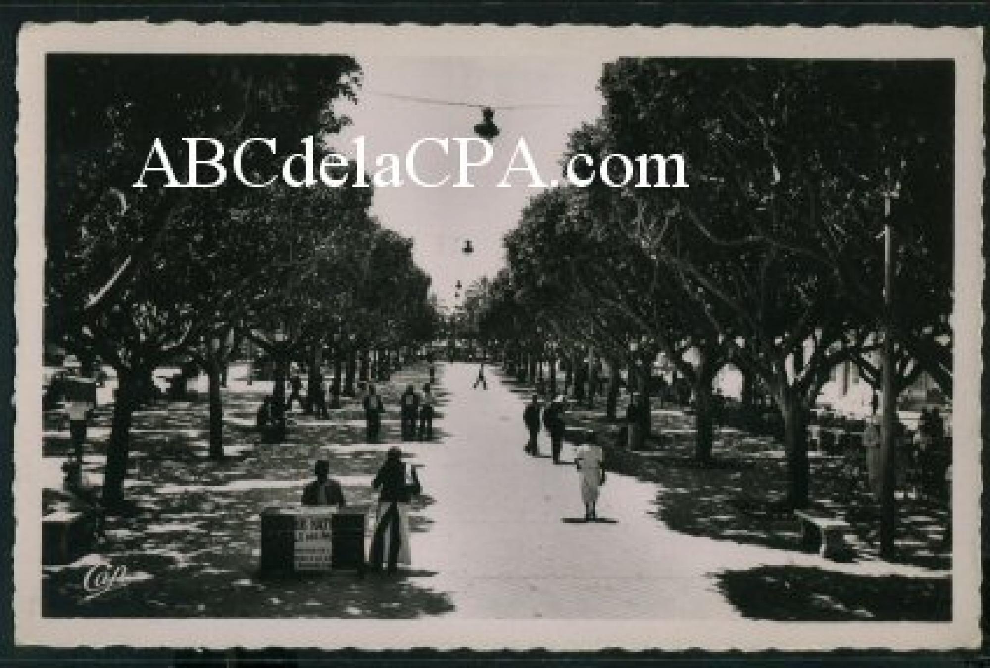 Bône - Rues  - le cours bertagna