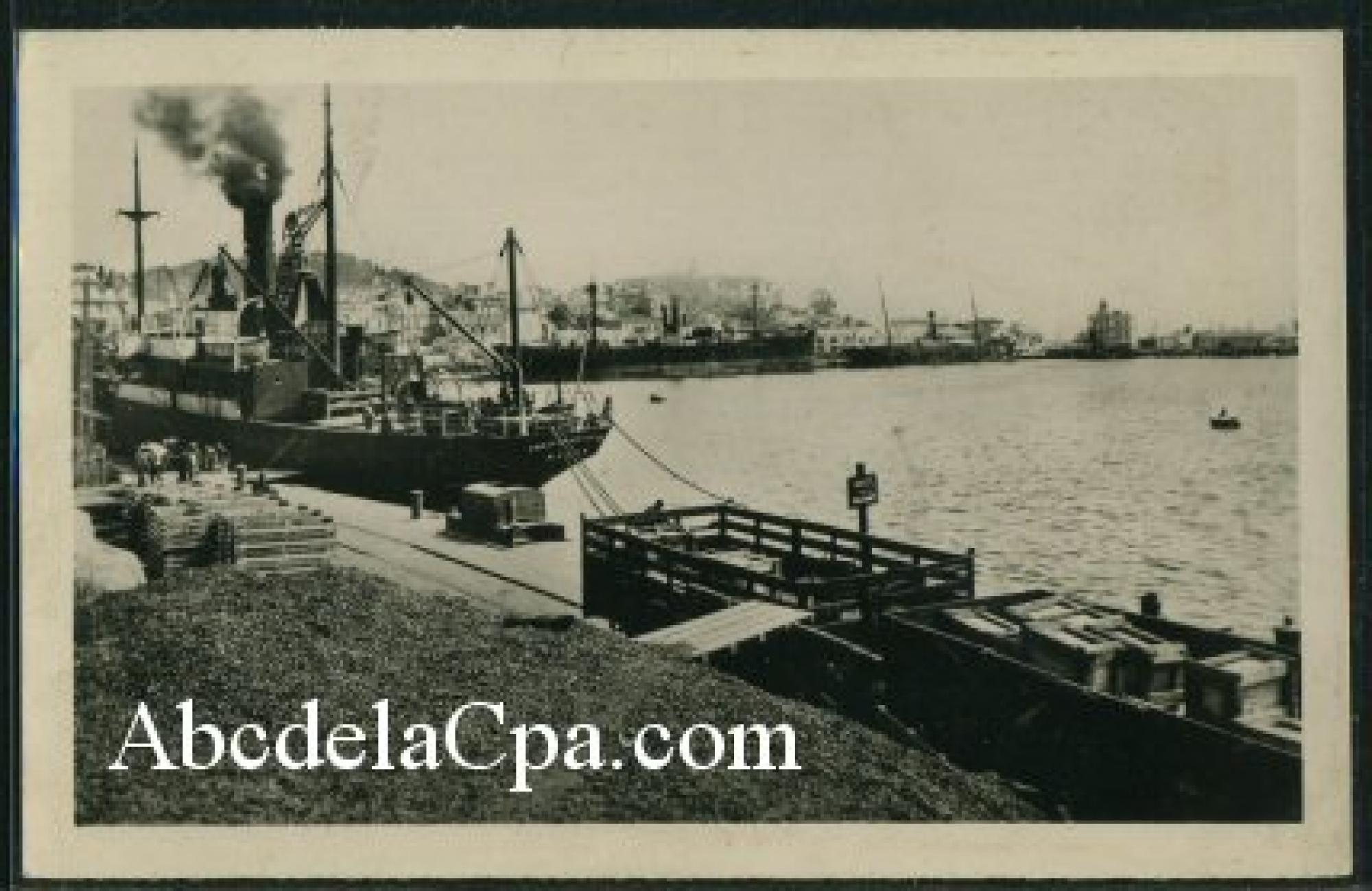 Bône - Le      Port  - le vieux port