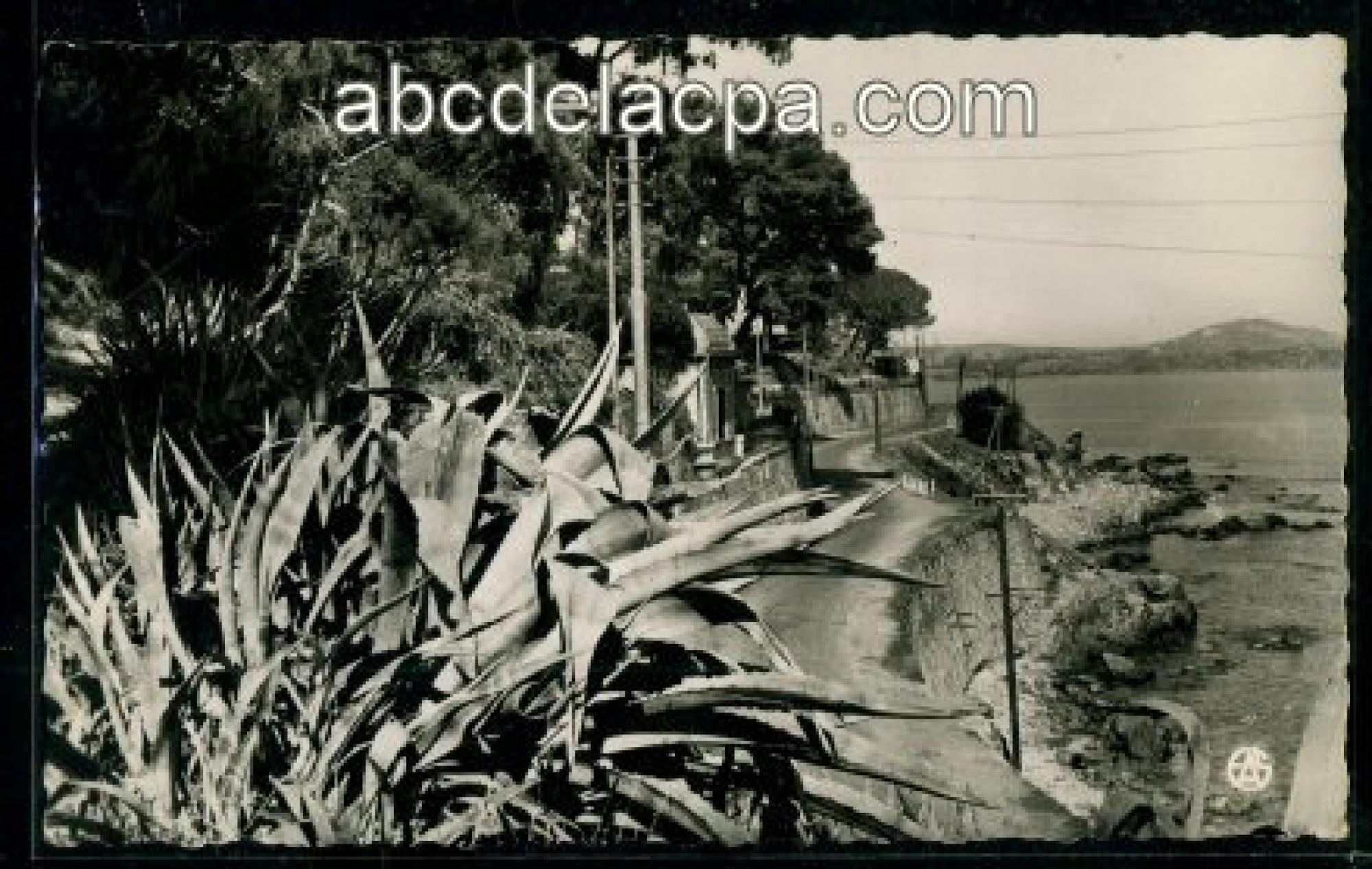 Bône - Les plages,      la corniche  - la corniche