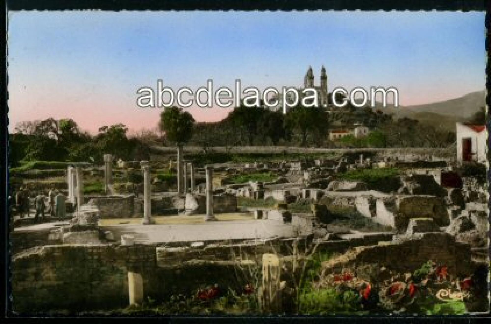 Bône -      Hippone  - ruines d'hippone et basilique saint-augustin