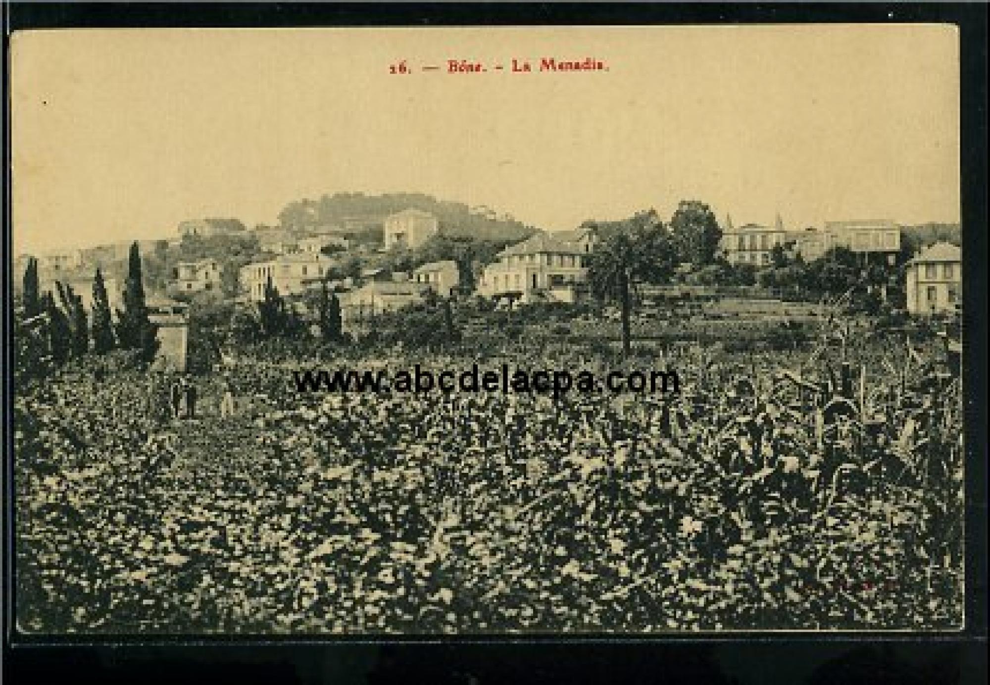 Bône -      Vues générales  - la menadia