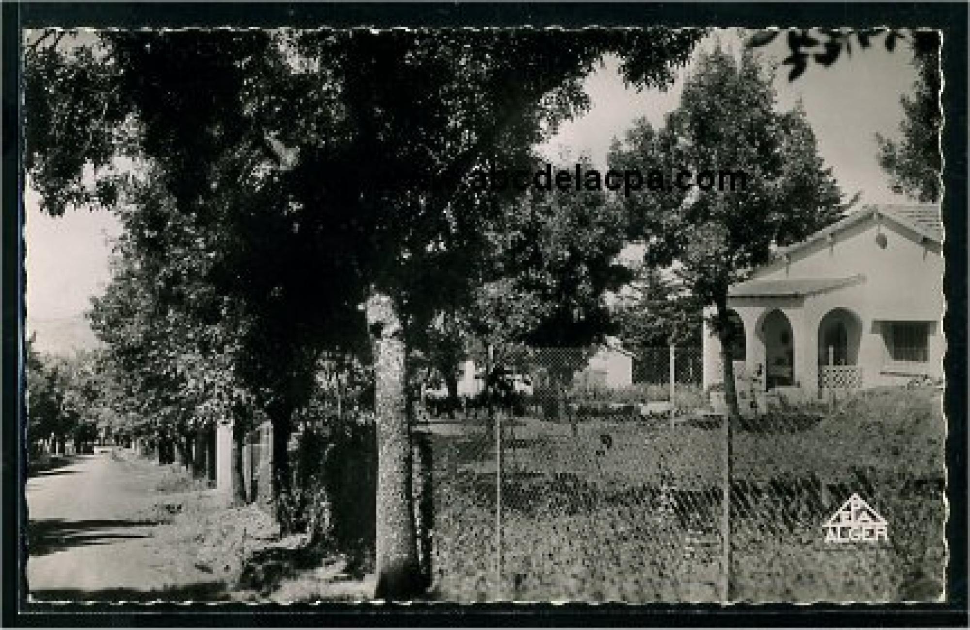 Bordj Bounaama   (Molière)  - les villas