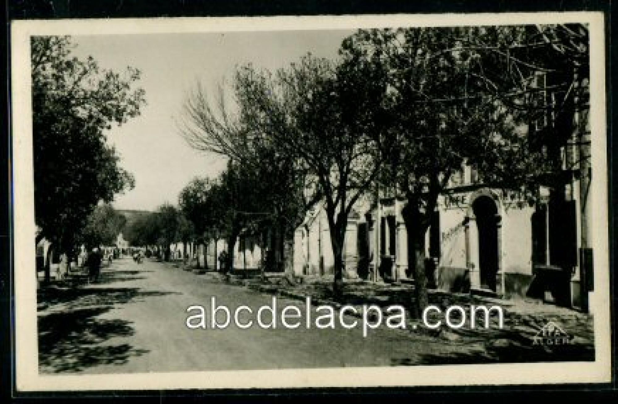 Bou Medfa  - grande rue