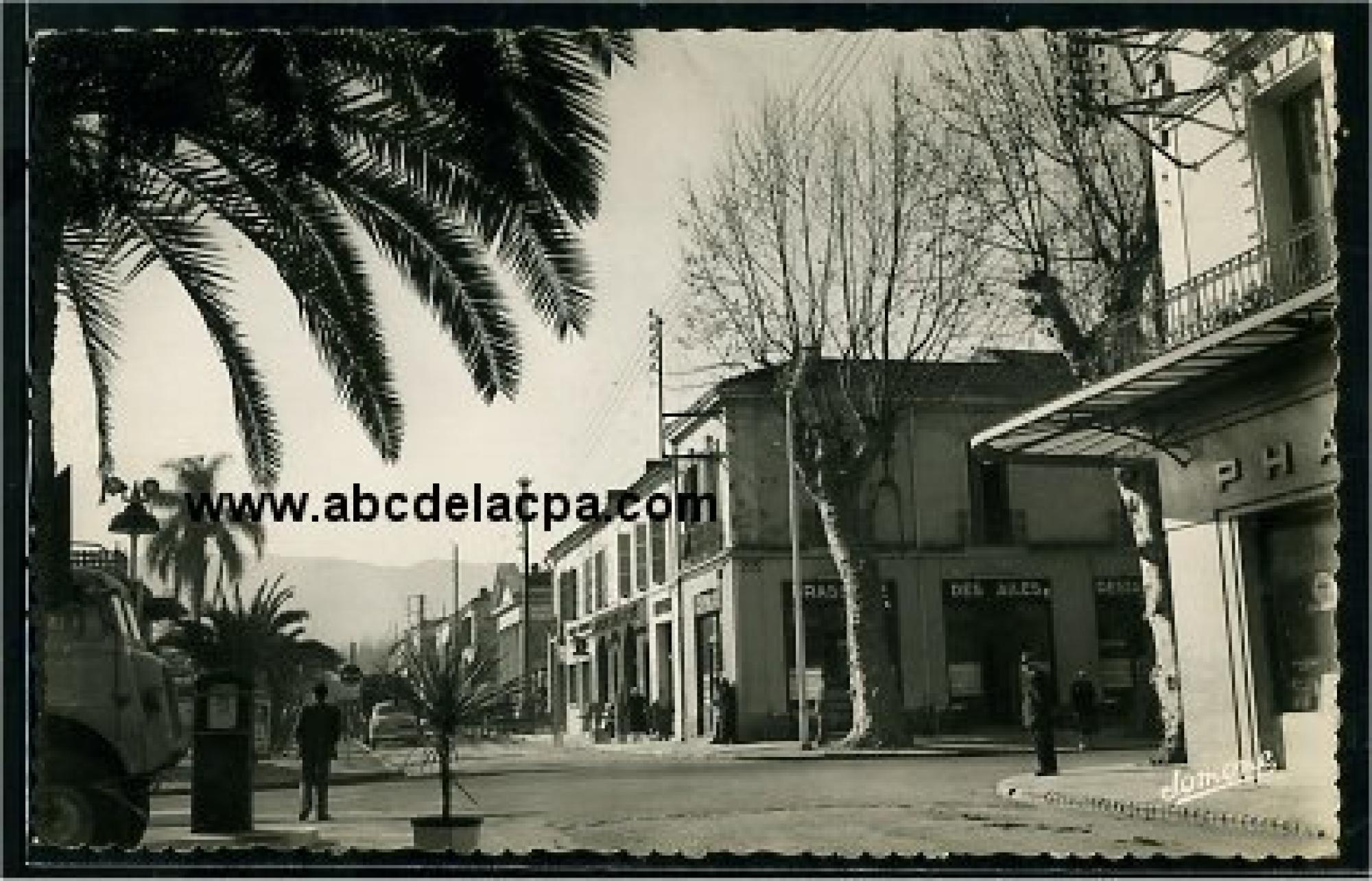 Boufarik  - boulevard polycarpe gros