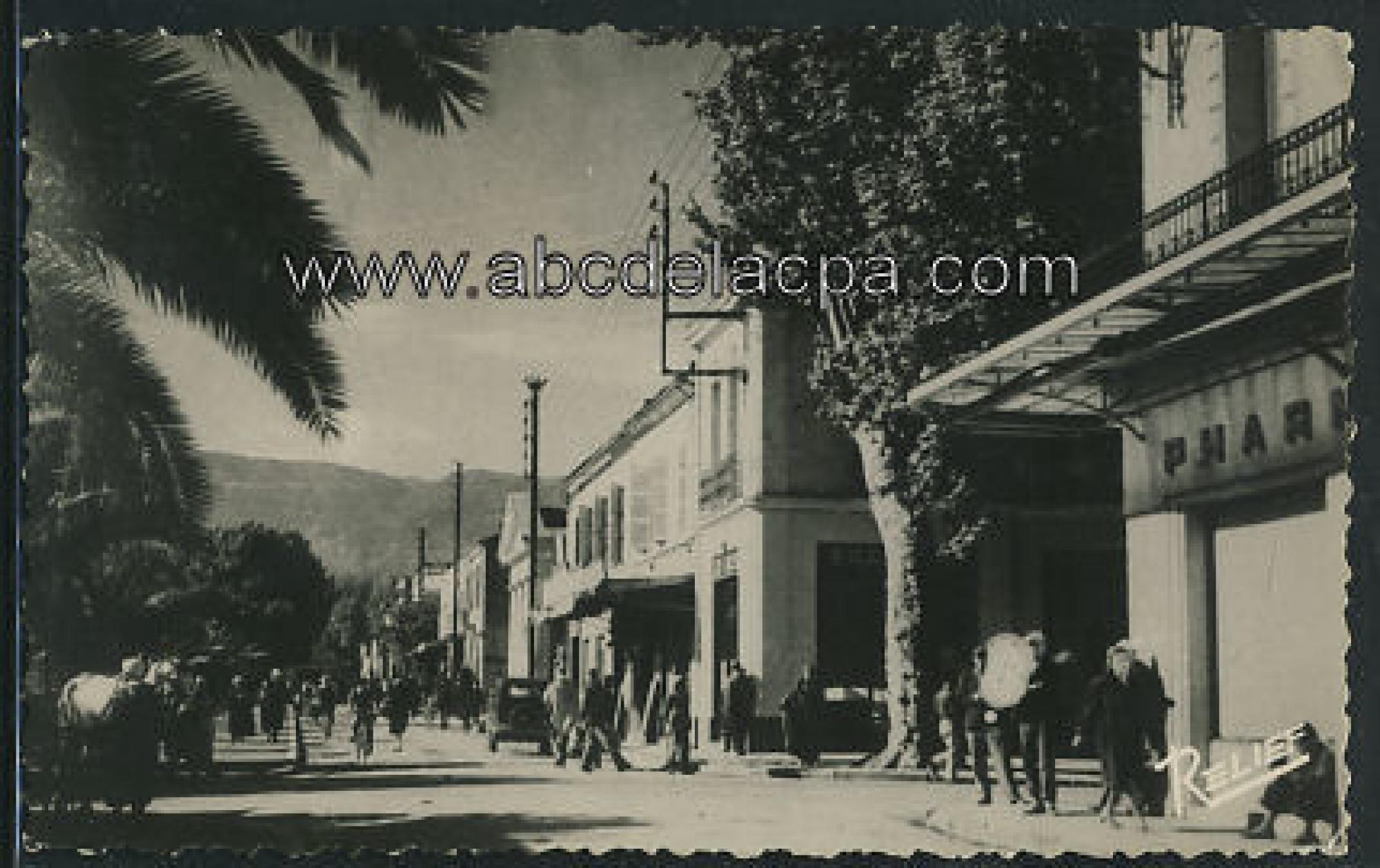 Boufarik  - boulevard polycarpe gros
