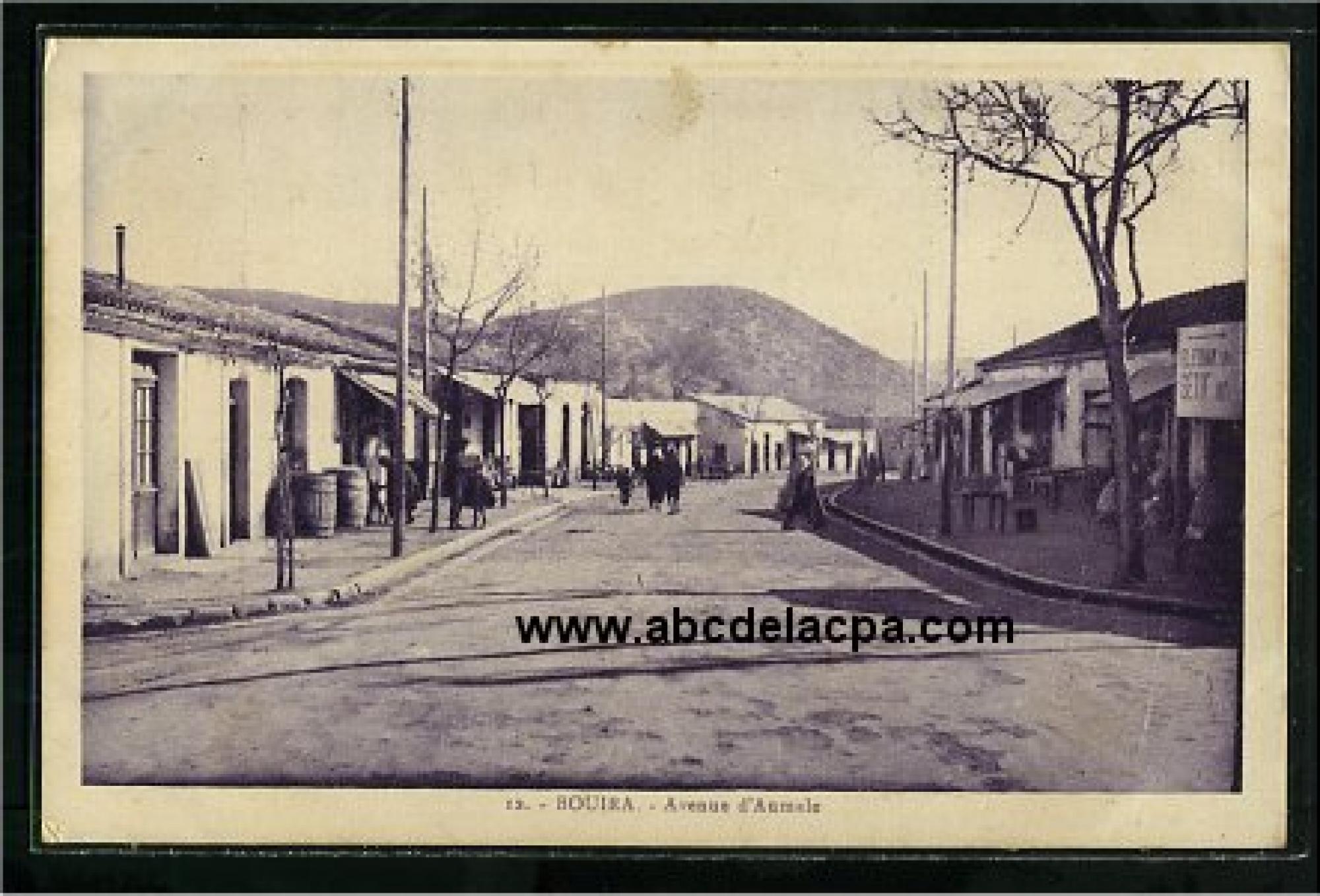 Bouira  - avenue d'aumale