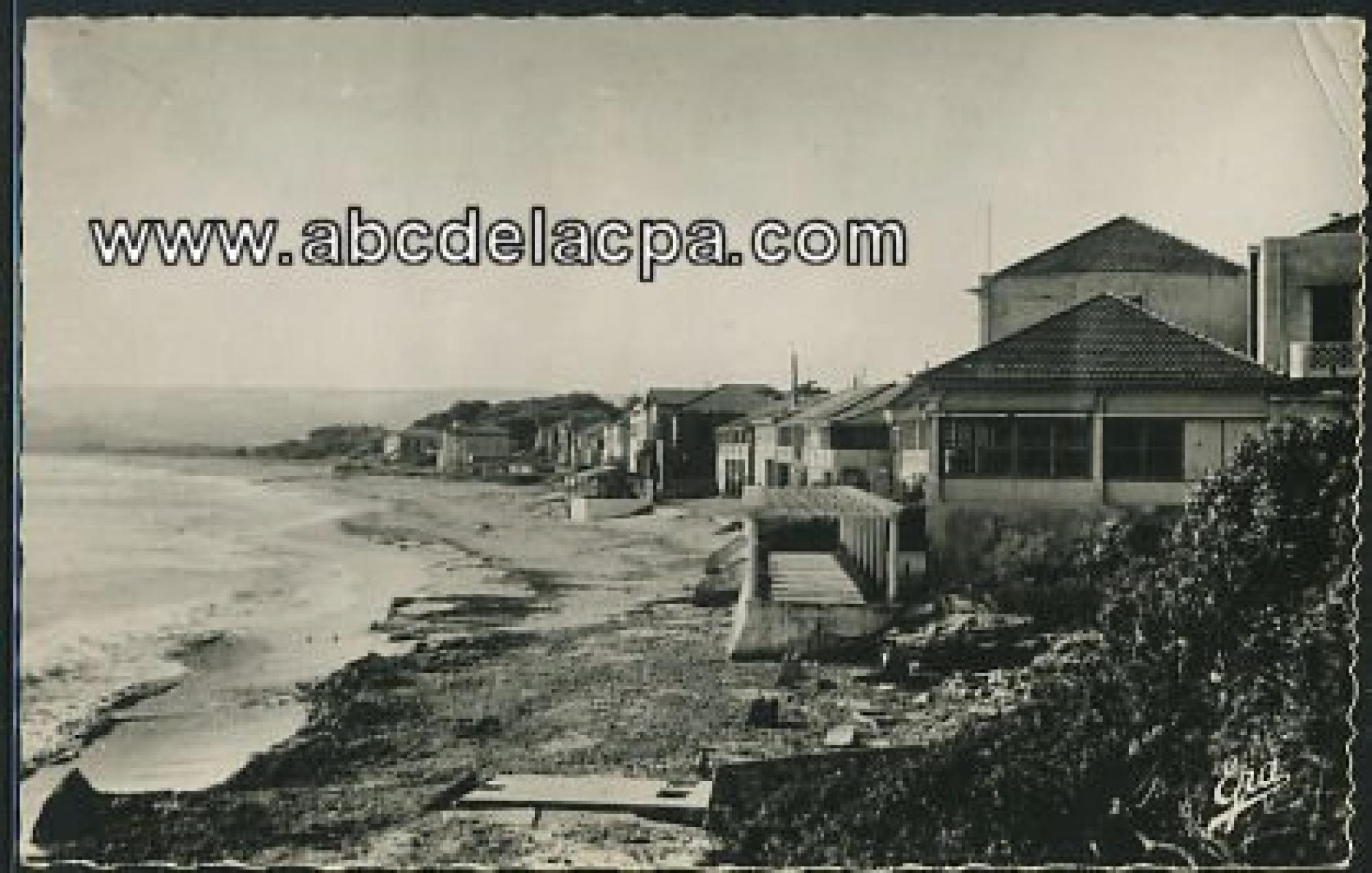 Chenoua Plage  - la plage