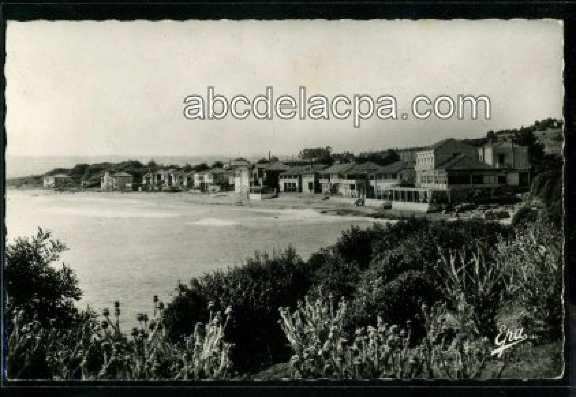 Chenoua Plage  - vue d'ensemble