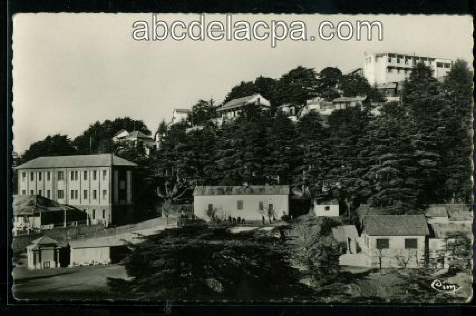 Chréa (La)  - station estivale - perspective sur la ville