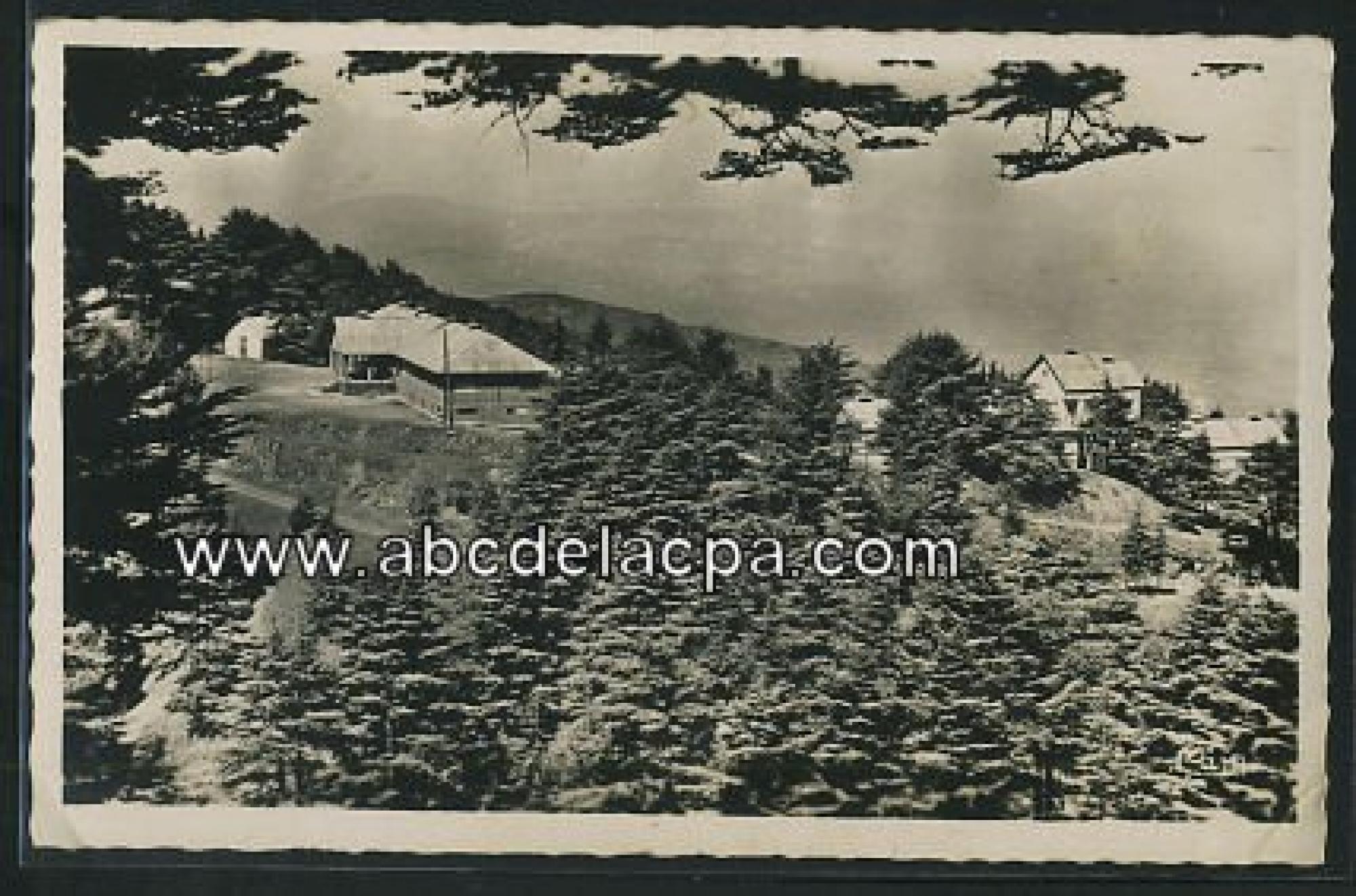 Chréa (La)  - aerium de la croix rouge