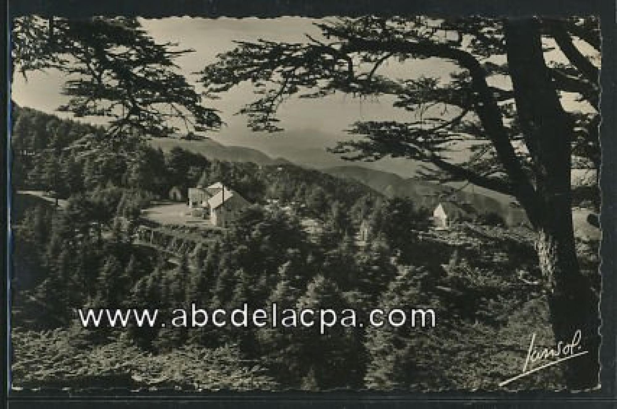 Chréa (La)  - la route de chréa