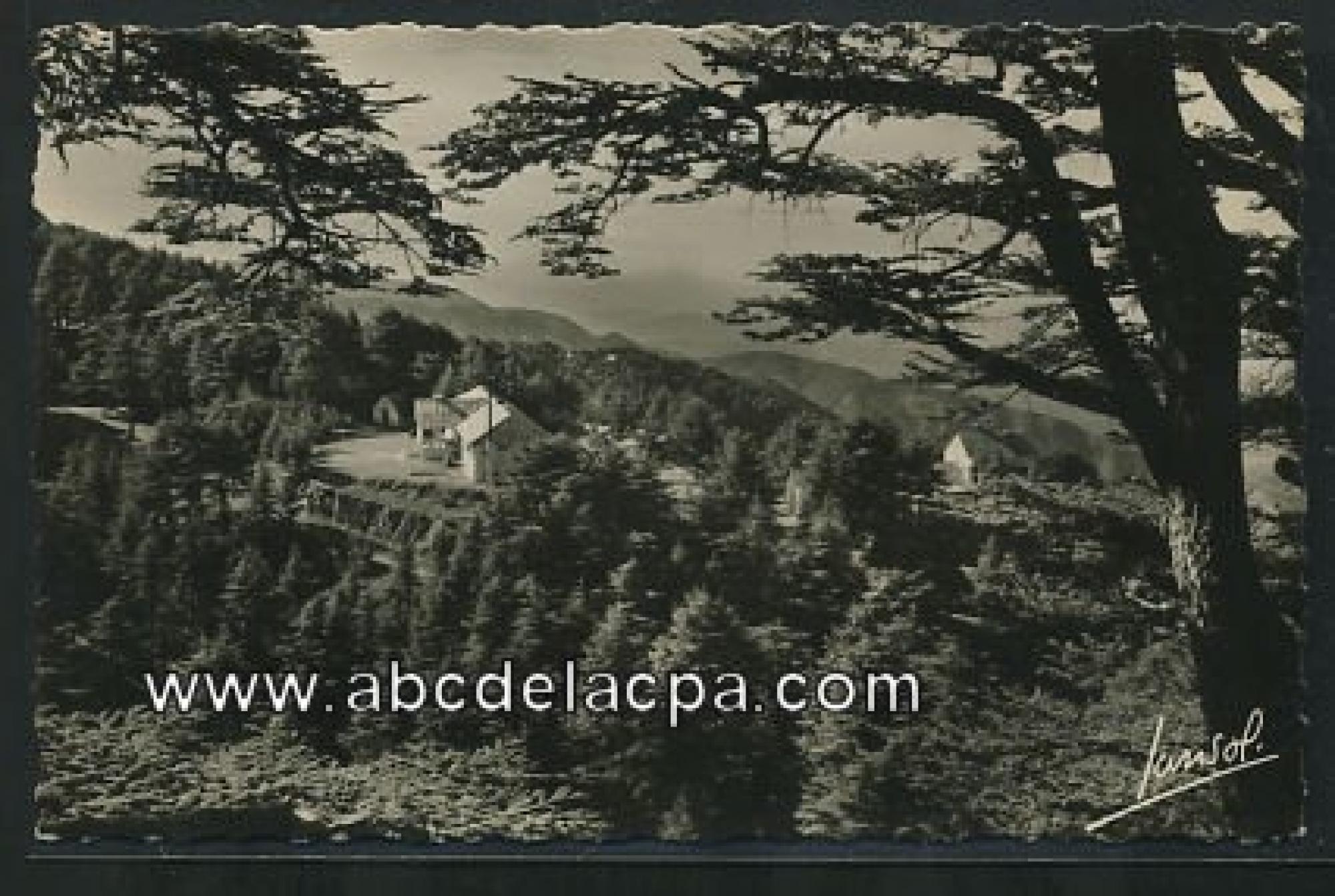 Chréa (La)  - chrea, station d'altitude à 70 km d'alger, entre les branches des cèdres l'aérium de la croix-rouge française