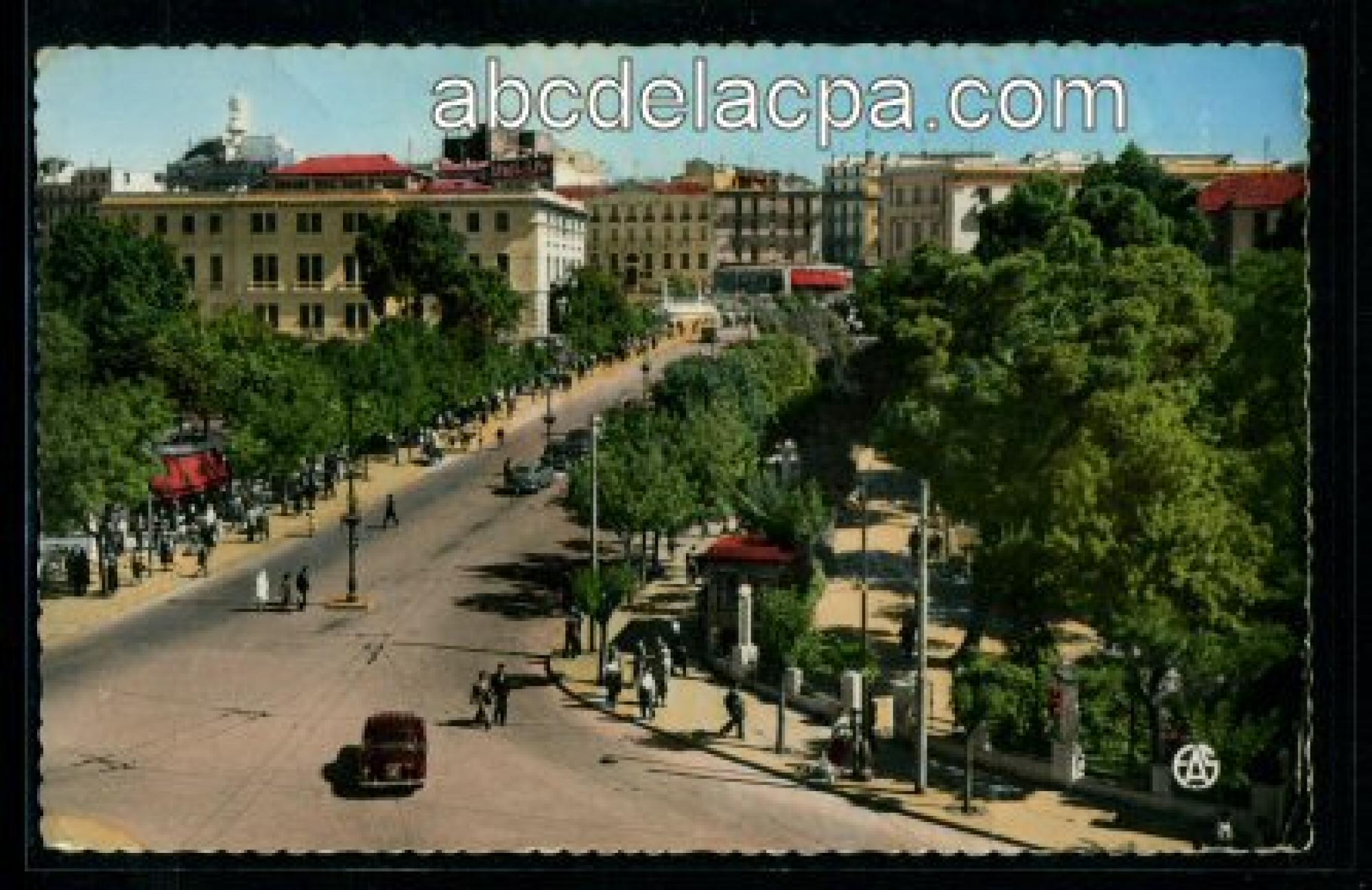 Constantine -      Rues  - l'avenue liagre et les squares