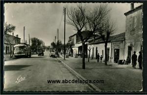 Djelfa  - rue principale