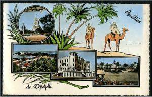 Djidjelli  - amitiés de djidjelli