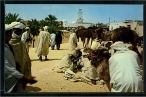 El Oued  - el oued - souk aux chameaux