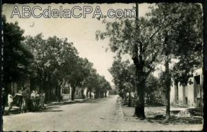 El Tarf  - rue principale