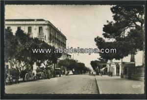 Guelma  - rue sadi carnot