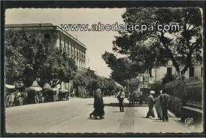 Guelma  - l'avenue sadi carnot