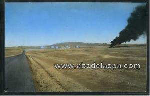 In Amenas  - zarzaitine c. 4 - vue d'ensemble