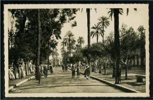 Laghouat  - place des oliviers