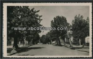Ménerville   (Thenia)  - boulevard du nord