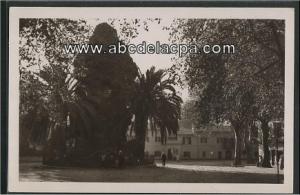 Miliana  - place carnot et la subdivision