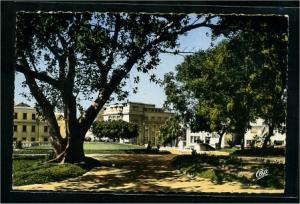 Mostaganem  - le jardin public