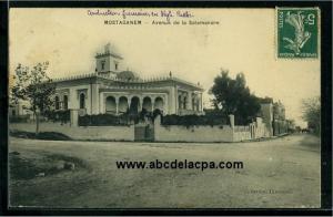 Mostaganem  - avenue de la salamandre