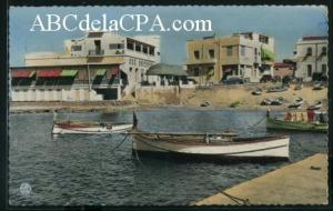 Mostaganem  - la salamandre