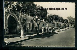 Novi (Sidi Ghiles)  - rue principale