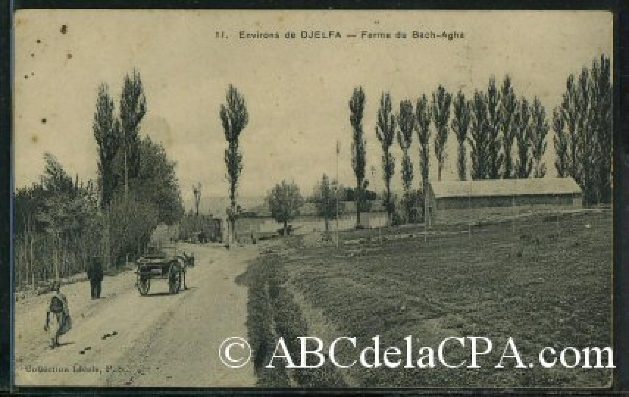 Djelfa  - ferme du bach agha