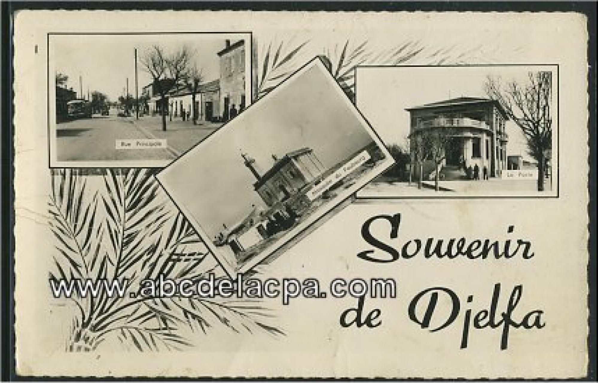 Djelfa  - souvenir de djelfa