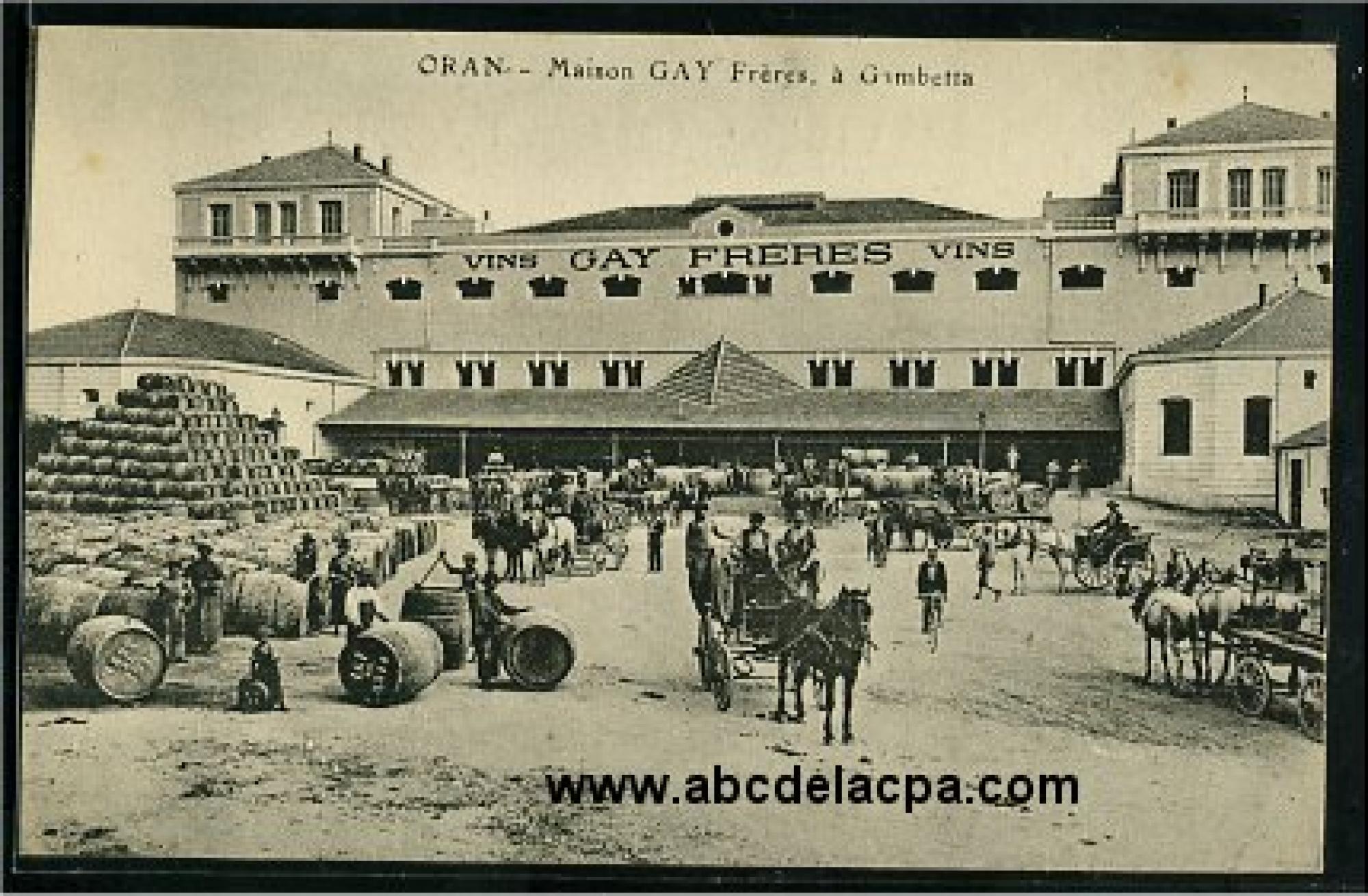 Gambetta (Taoura)  - maison gay frères à gambetta - vins