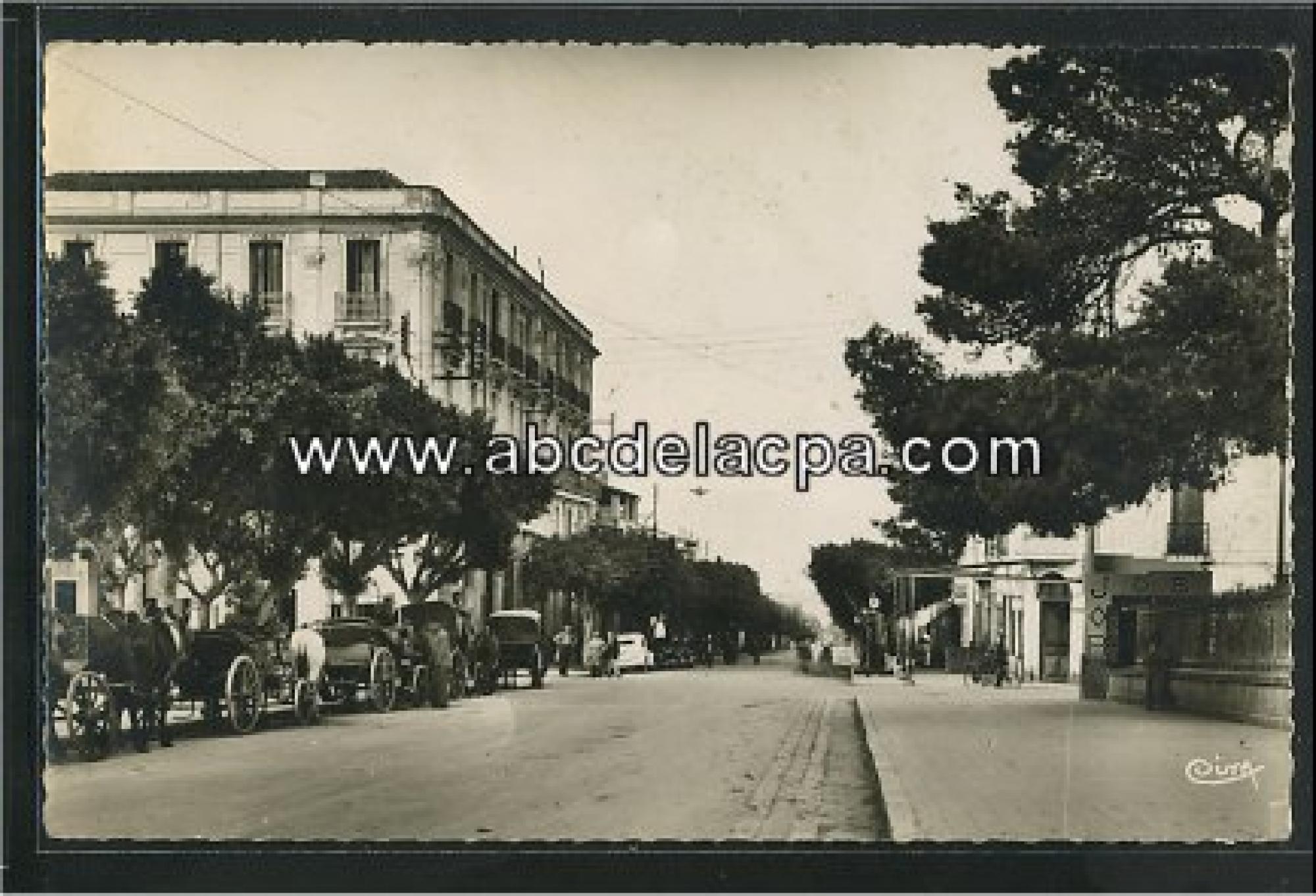 Guelma  - rue sadi carnot