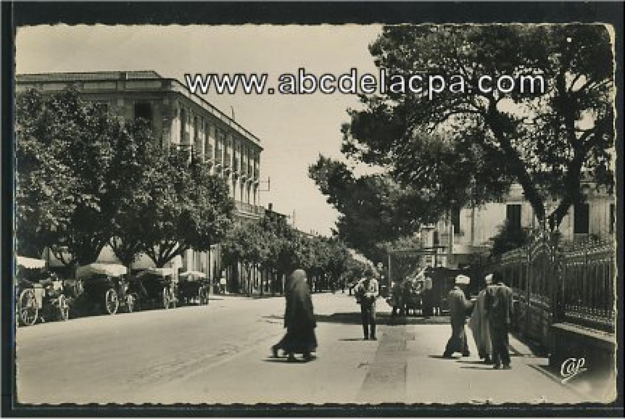Guelma  - l'avenue sadi carnot