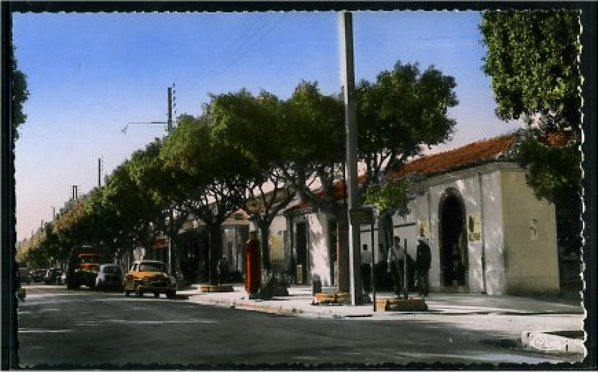 Hadjout (Marengo)  - marengo