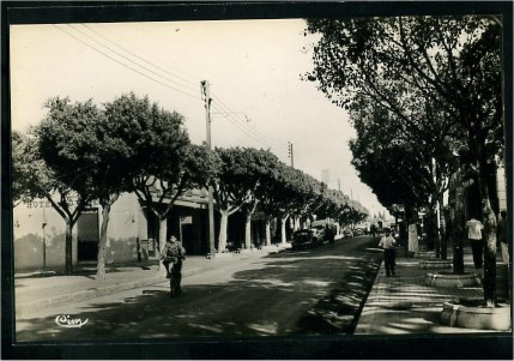Hadjout (Marengo)  - grande rue