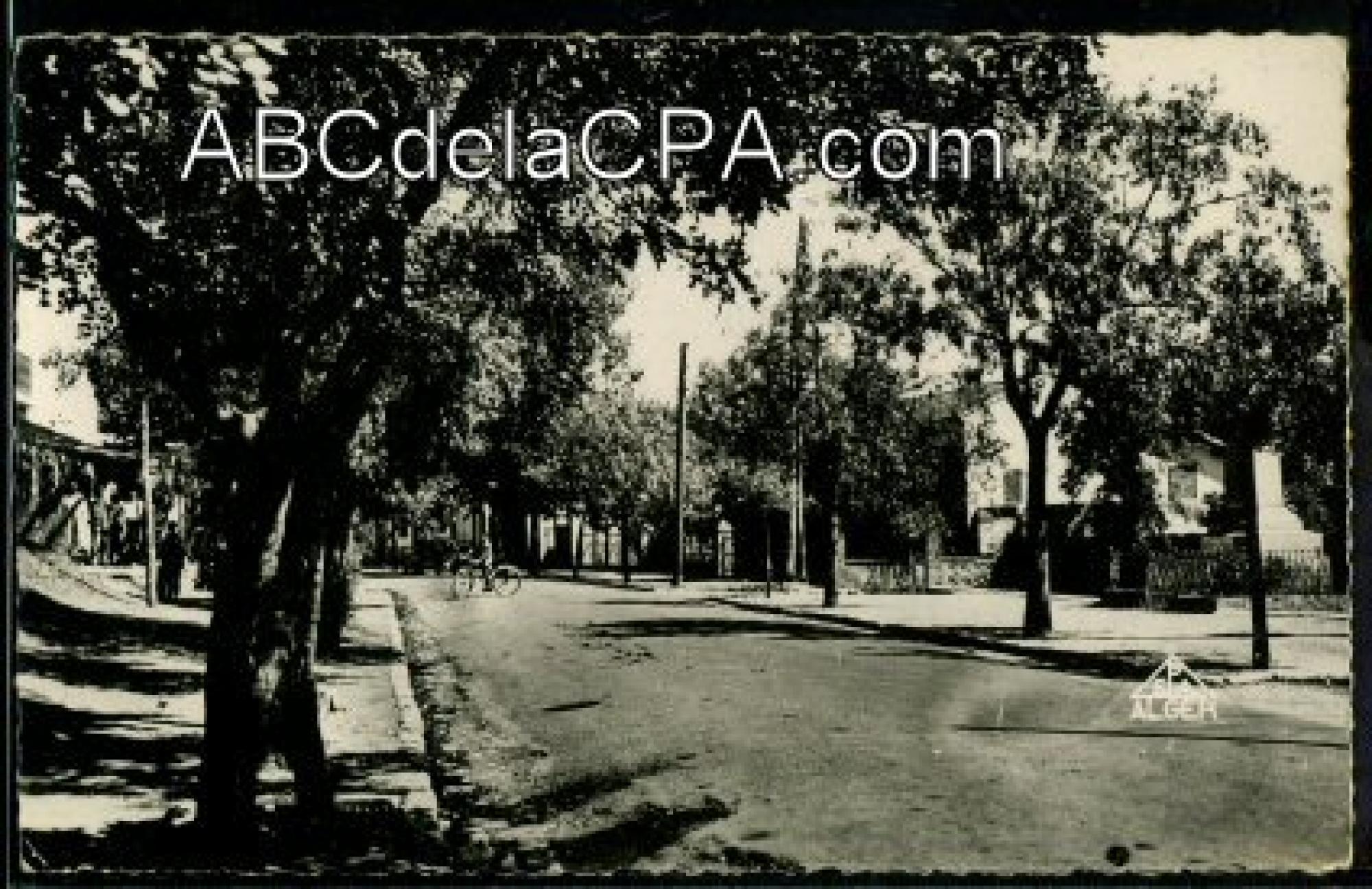 Hammam Righa (Hammam   Rhira)  - grande rue