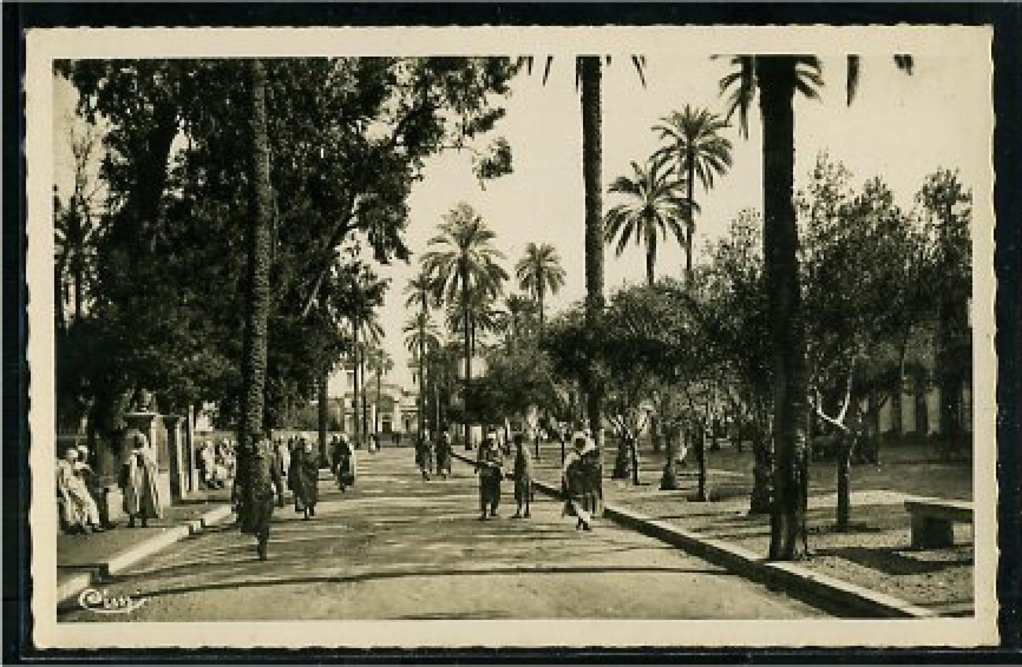 Laghouat  - place des oliviers