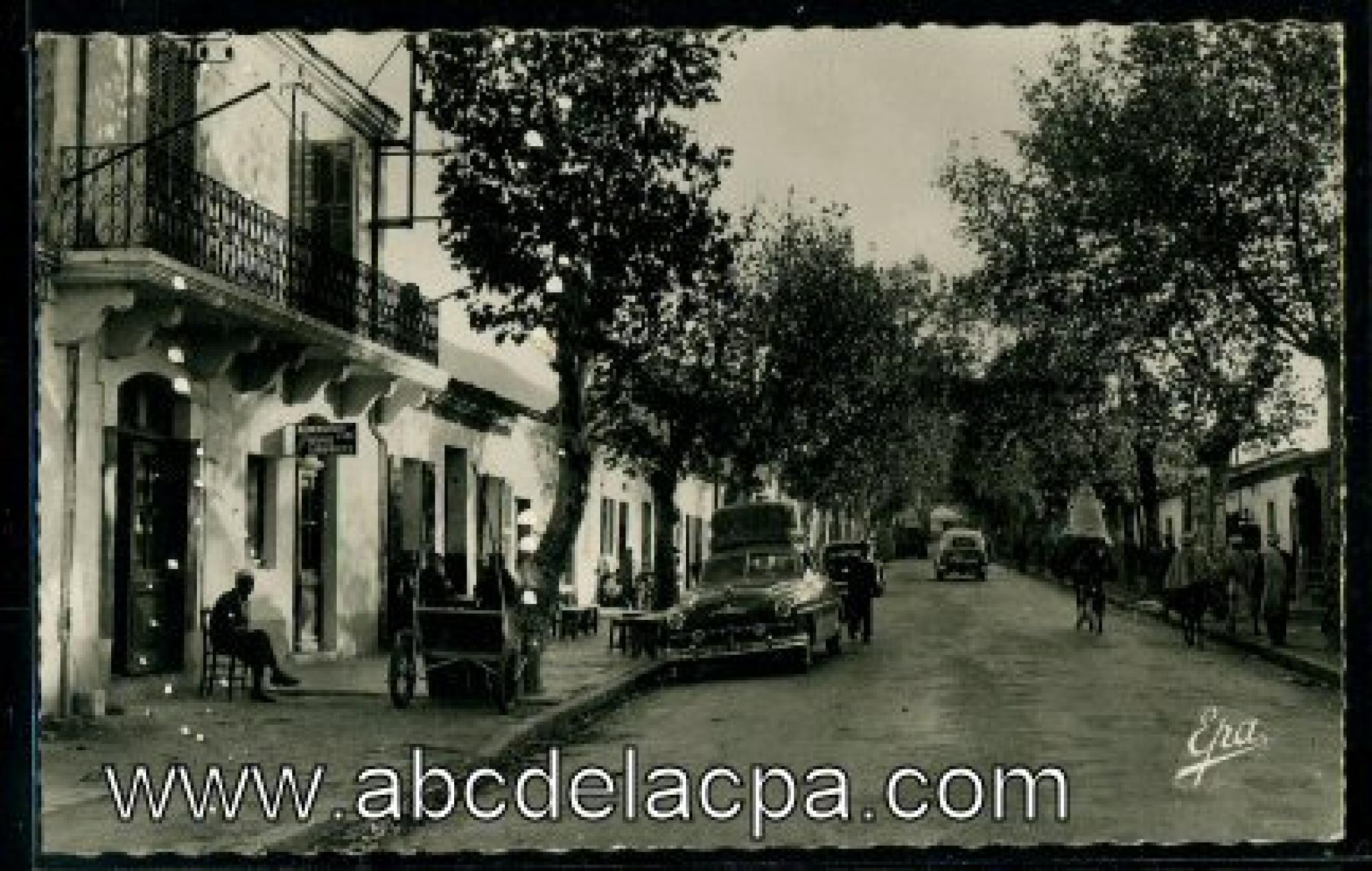 Lakhdaria (Palestro)  - avenue de constantine