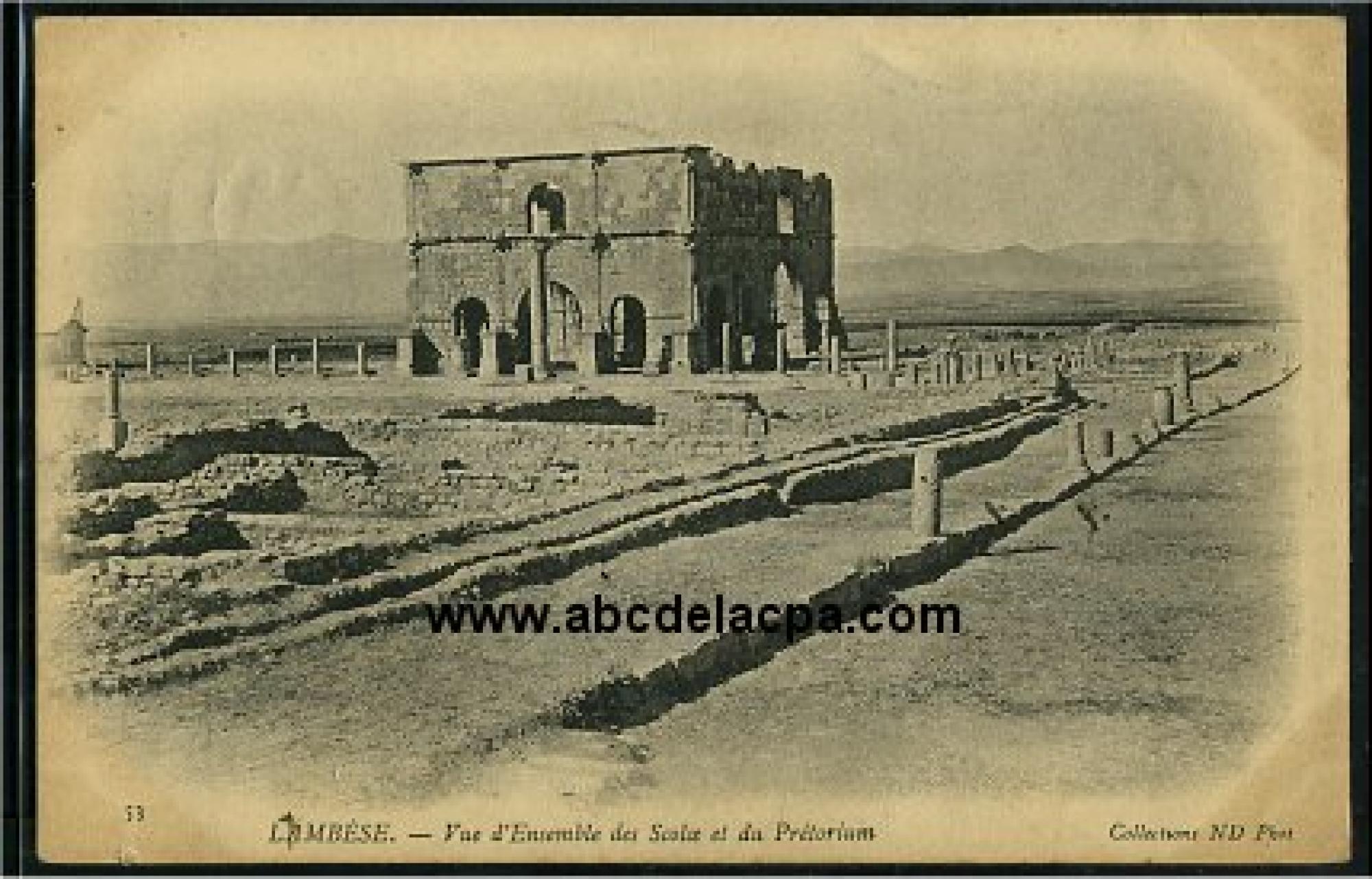 Lambèse   (Tazoult)  - vue d'ensemble des scoloe et du pretorium